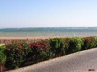 ��� � �������