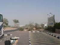 �������� ����