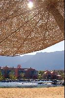 "�����" ����