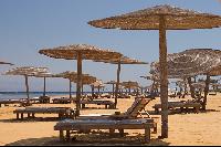 "�����" ����