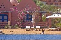 "�����" ����