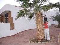 ���� �������, 4 ���� ������,,,