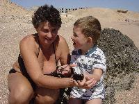 ����� ����