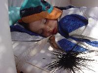 ����� ����