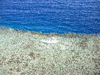 ��� ������ �� ������� � �����