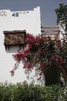 �������� ��� �������� ����������� ��������