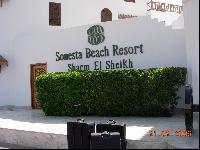 �����. ����