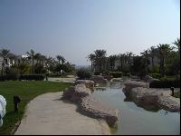 ��� �� ����