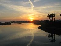 ������� � ��� ����