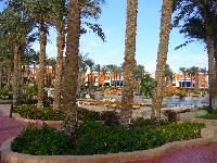 �� ���������� �����