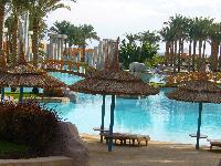 ������ � ��������