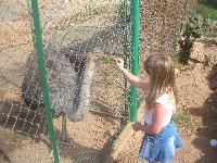 ����-������� � �����