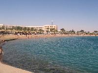 ���� Beach Albatros