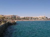 ���� Beach Albatros