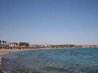 ���� ������ 5