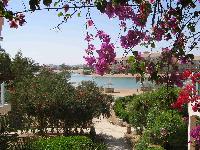 ����� �������� ���-���� ���� �5