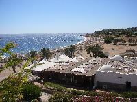 ��� �� 44 �������