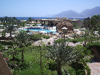 ���� �����