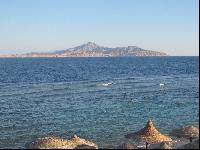 ������ �����