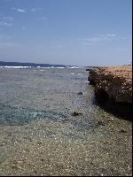 ��� �� ���� �� ������