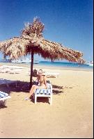 ���� ����� �������� ���� �����