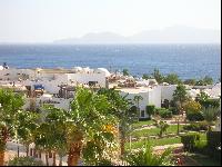 ��� �� 33 �������