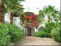 39 ������