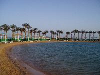 �������-2006