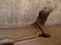 ���������� ��. �������