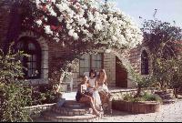 ����������� ��������