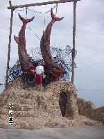 � ������� ���������