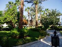 �������-2006