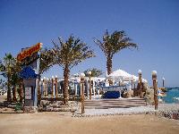 �������-2006