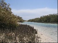 ��������� ����