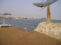 �������-2006