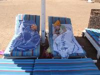 ����� ����������!