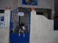 ������� ,�����, ������