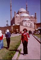 ������������ ������