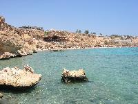 ���� ����� � �����