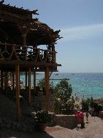 �������� "�����"