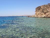 ��� (���� � �����)