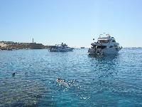 ���� ���� � �����