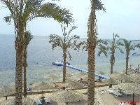 ����� ������ (���� �� ��������)