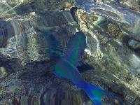 ��� ���� ����