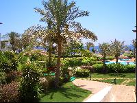 ���������� � ��������