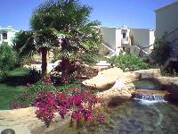 ������ �����