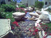 ������ �����