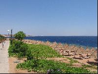 �������!!!!