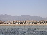 ��� � ����