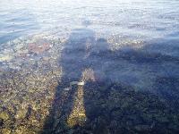 �� � ������